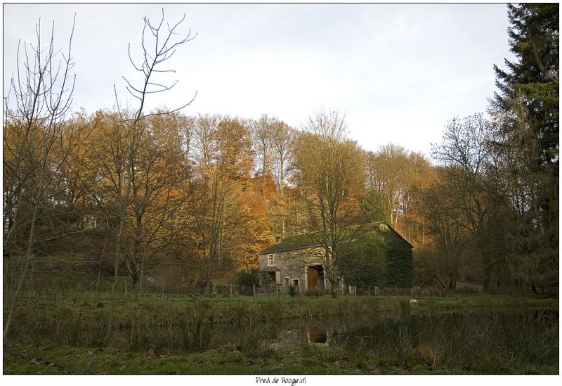 Klik op de foto om originele grootte te bekijken