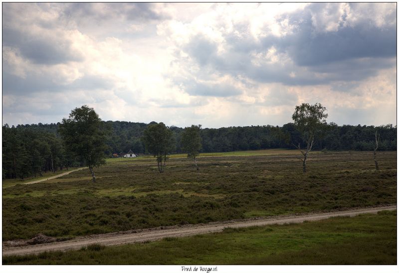 Klik op de foto om originele grootte te bekijken