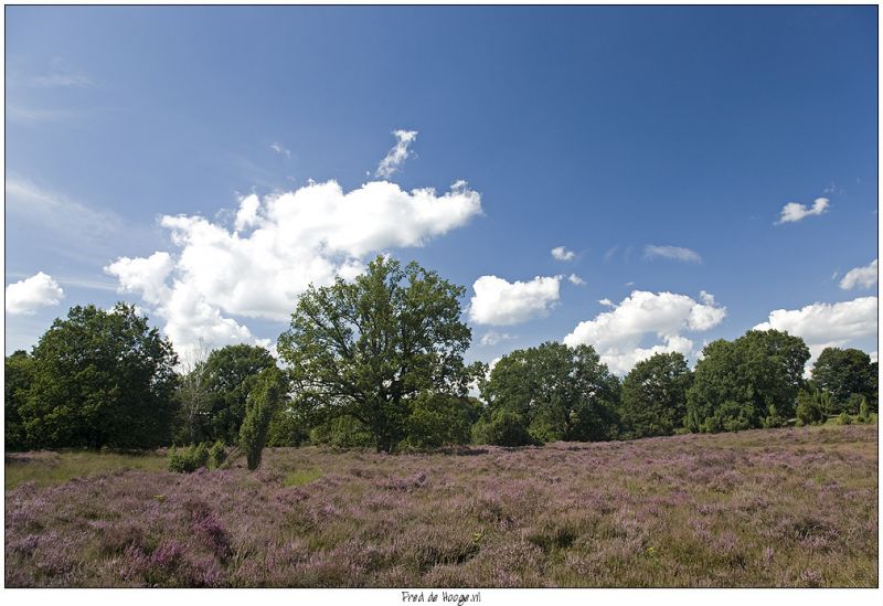 Klik op de foto om originele grootte te bekijken