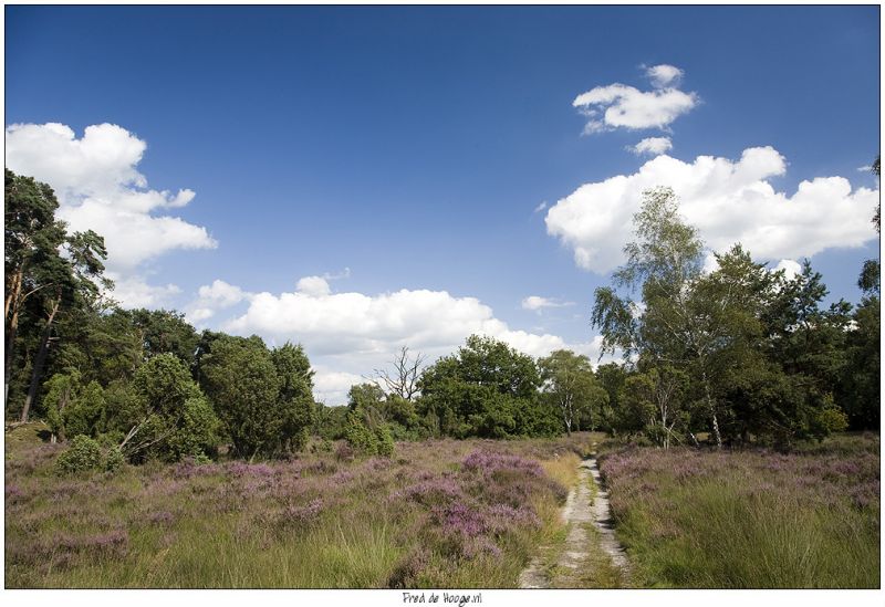 Klik op de foto om originele grootte te bekijken