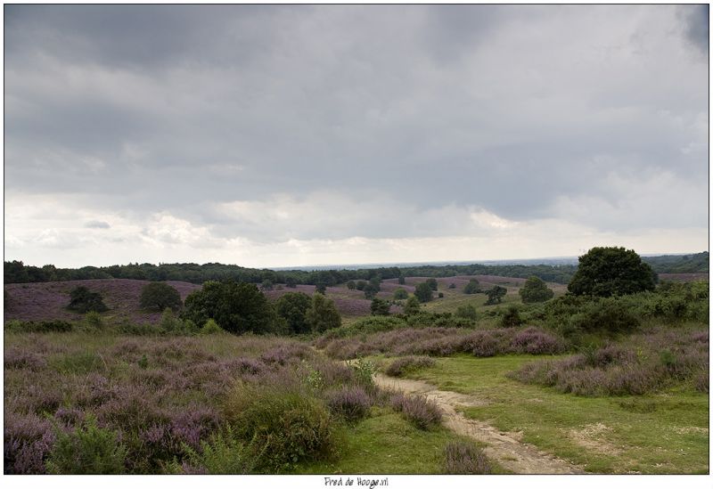 Klik op de foto om originele grootte te bekijken