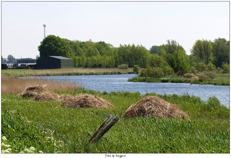 Klik op de foto om originele grootte te bekijken