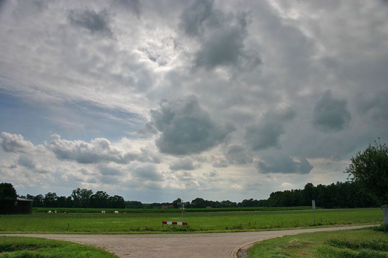 Klik op de foto om originele grootte te bekijken